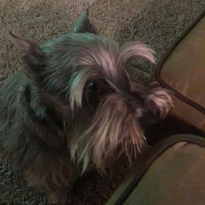 Meet your Posher, Veronica